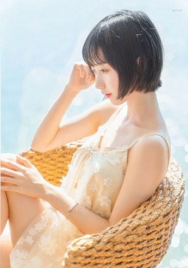 石之海免费观看全集