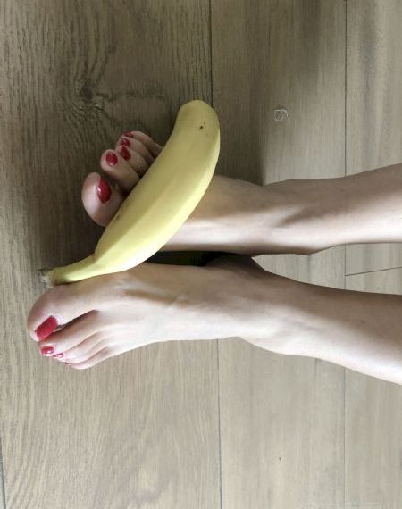 航海王在线观看免费版完整版
