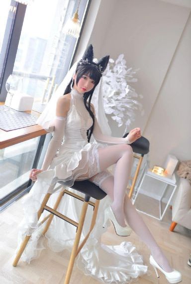 灿烂人生