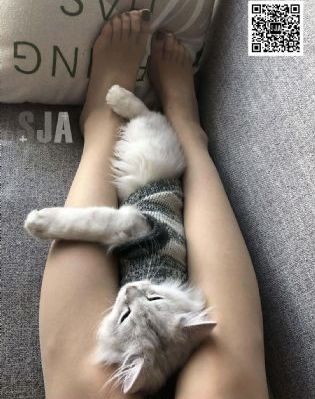 x女特工电视剧完整版