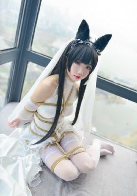 白月梵星电视剧免费看