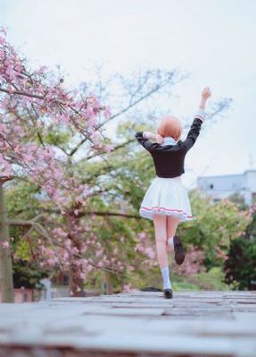 电视剧抗日奇侠