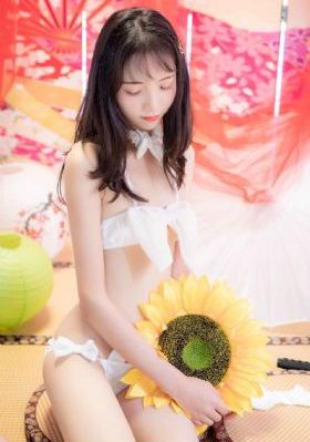 电视剧决战